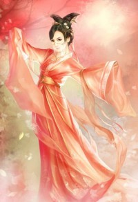 《庶妃专宠记/福灵心至》
