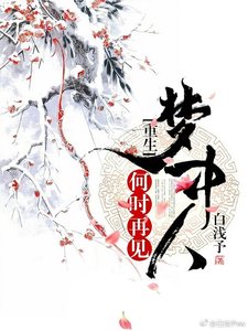《评何时再见梦中人》
