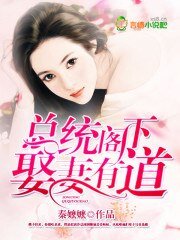 《总统阁下,娶妻有道/二胎计划,霸道总统宠宠宠!》