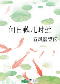 《何日藕几时莲》