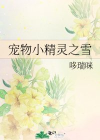 《宠物小精灵之雪》
