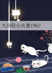 《大杂院小夫妻1967》